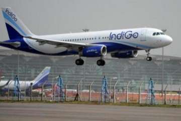 IndiGo airline