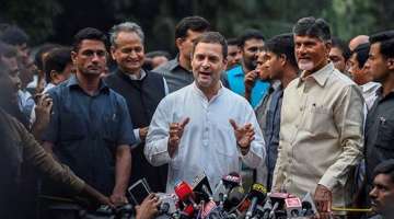  Naidu will take part in the electioneering along with Rahul Gandhi on November 28 and 29, the sources told PTI.