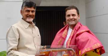 Andhra Pradesh Chief Minister N Chandrababu Naidu (left) with Congress President Rahul Gandhi in New Delhi (File)