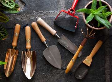 5 Amazing ways to take care of your garden tools