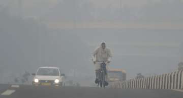 A cyclist rides through heavy haze in New Delhi