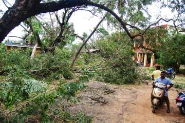 Death toll due to cyclone Gaja reaches 45