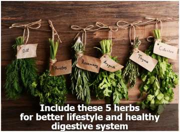 Include these 5 herbs for better lifestyle and healthy digestive system