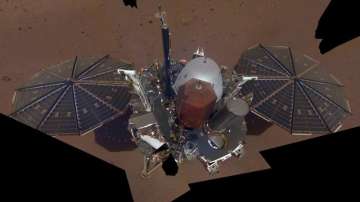 The InSight lander snapped a series of pictures that NASA turned into a stunning mosaic, released on Tuesday.