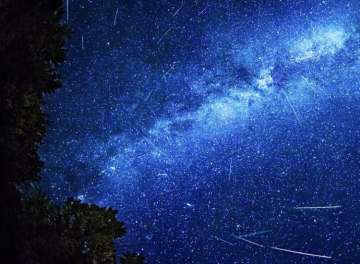 Google Doodle tells why you shouldn't miss Thursday's meteor showers