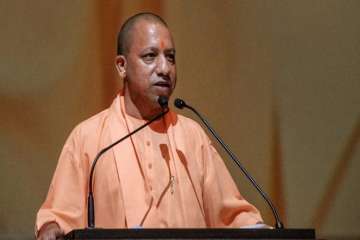 Make immediate arrangements for proper care of stray cows: UP CM tells officials