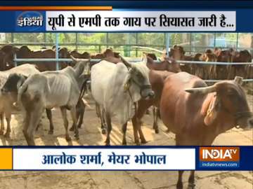 Yogi Adityanath govt to impose additional cess for cow welfare