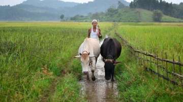 Budget 2019 to be dedicated to farmers: Agriculture Minister