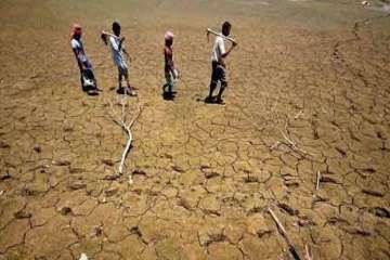 Karnataka drought