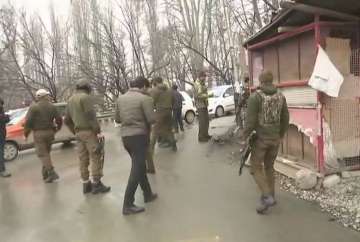 Terrorists hurl grenade on security forces in Srinagar