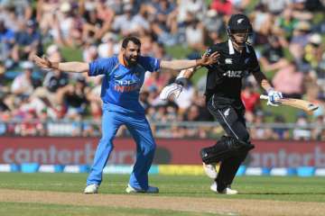 India vs New Zealand: Mohammed Shami has translated his Test form into ODI, says Virat Kohli