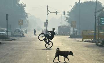 Air quality in Delhi remains 'moderate'