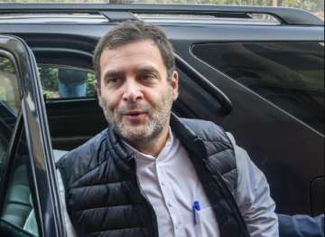 Lok Sabha elections 2019, Rahul Gandhi 