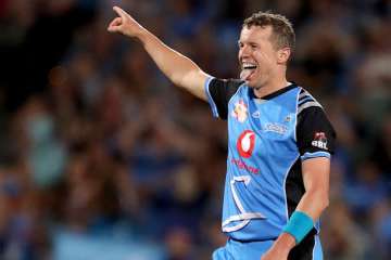 Big Bash star Peter Siddle eyes place in Australia T20 squad