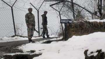 Army jawan killed in avalanche 
