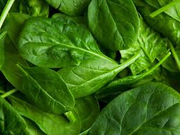 Spinach-protein may offer treatment for alcohol abuse, mood disorders