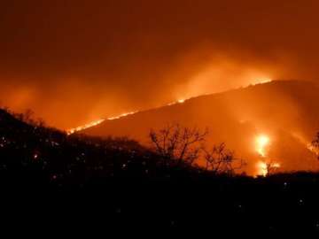 Karnataka intensifies efforts to battle raging wildfire in Bandipur