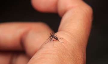 Doctors save patient from severe dengue type disorder