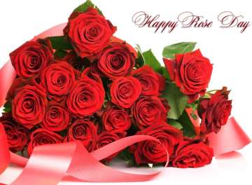Happy Rose Day 2019: Images, greetings, GIFs, quotes, wallpaper, status for your WhatsApp, Facebook