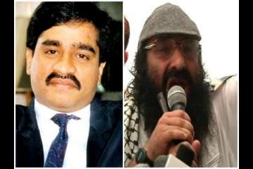 Pakistan should hand over Dawood, Salahudeen to India to show sincerity in tackling terror: Govt sources