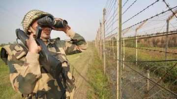 Pakistani intruder held on Gujarat border