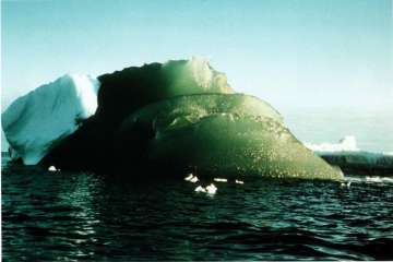 New theory may solve mystery of green icebergs
