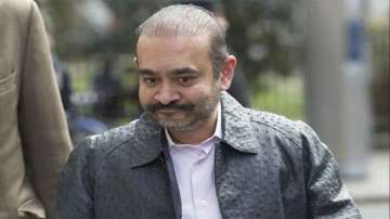 Nirav Modi’s defence team uses his pet dog in attempt to win bail in UK court but failed. Read full report