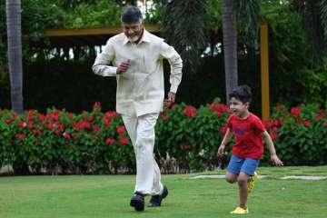 Andhra Pradesh Chief Minister Chandrababu Naidu with his grandson Nara Devaansh