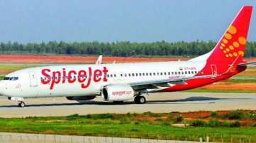 SpiceJet plane overshoots Shirdi runway on landing, halts operations 