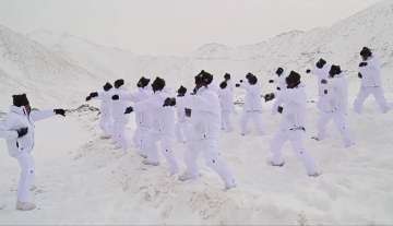 Watch: ITBP jawans practicing Martial Arts in Himalayan snow