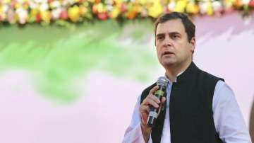 Rahul Gandhi on Wednesday filed his nomination for the Amethi Lok Sabha seat. He was accompanied by UPA chairperson and mother Sonia Gandhi, sister Priyanka Gandhi Vadra and brother-in-law Robert Vadra.