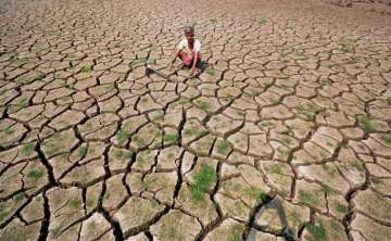 About 20.40 lakh hectare farm land have been affected due to the drought in the state. Of which, crop loss is estimated in 19.46 lakh hectare, as per the state government. (Representational image)