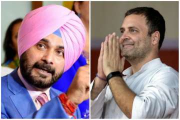 Navjot Singh Sidhu, Rahul Gandhi