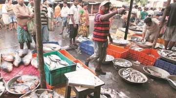 Fani impact: Sharp price hike keeps fish away from plates in West Bengal