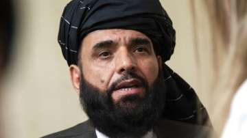 ?Suhail Shaheen, spokesman for the Taliban’s political office in Doha