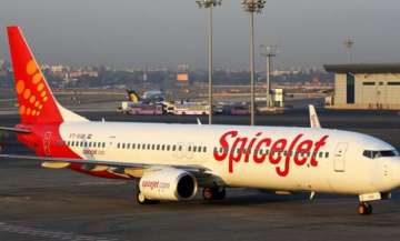 SpiceJet to start 8 new international flights
 Representational image