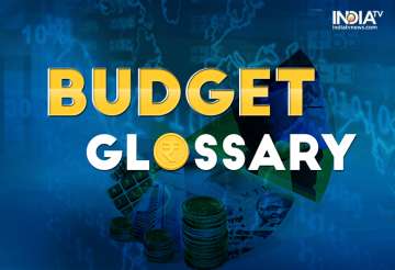 Budget glossary