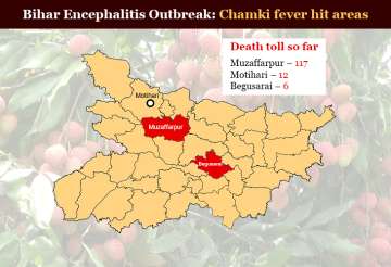 Bihar Encephalitis Outbreak: Deadly virus spreads its tentacles outside Muzaffarpur 