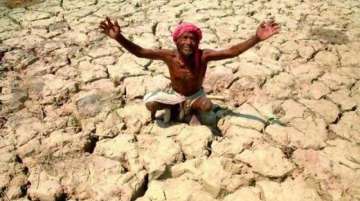 Intense heatwave resulted in drought in Tamil Nadu, river Vaigai dries up
Representational Image
