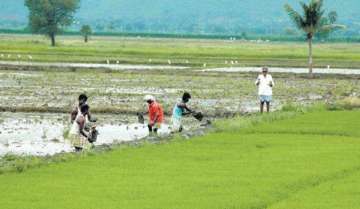 Bengal rolls out free crop insurance scheme for farmers