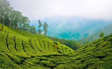 Kerala Holiday Packages - How to book Kerala tour package through IRCTC