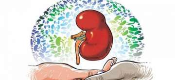 He was then diagnosed with chronic kidney disease as well as portal hypertension, doctors said (Representational Image)
