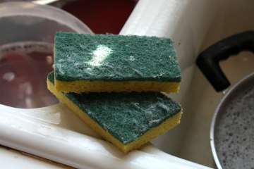 kitchen sponges