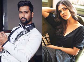 Is Vicky Kaushal dating Beyond The Clouds actress Malavika Mohanan?