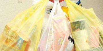 Bahrain to ban plastic bags in July (Representational Image)