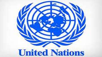 United Nations 