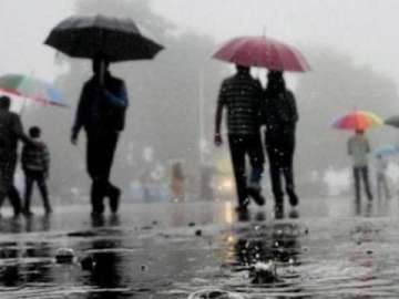 Heavy rains lash south Gujarat areas, Vapi gets 184 mm in 4 hours