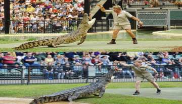 Steve Irwin's son Robert recreates iconic crocodile feeding picture at same zoo leaving Twitterati e