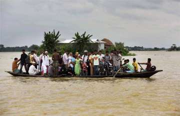 Assam floods: Kaziranga National Park deluged in large-scale devastation across state