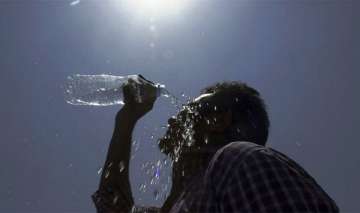 Maximum temperatures hover above normal in Punjab, Haryana?